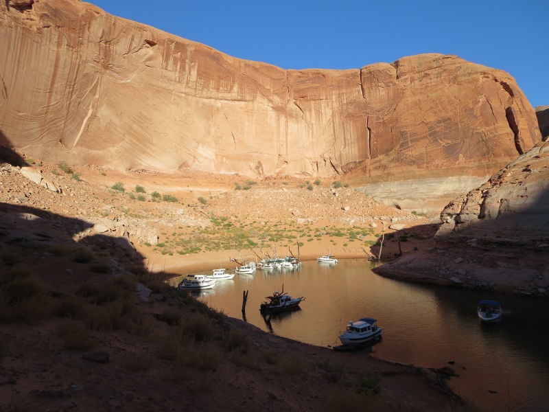 Forgotten Canyon Monday afternoon 9-23-13 from the rear to the front Secret of Life, Lighthouse Express, Discovery, Valkyrie, Jean Marie, See-Saw, Rana Verde, Bossa Nova, C-Swell, Sunbeam, Voyager and Hunky Dory