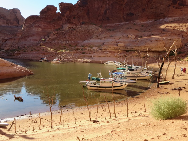 Forgotten Canyon Monday afternoon 9-23-13 front to back Secret of Life, Lighthouse Express, Discovery, Valkyrie, Jean Marie, See-Saw, Rana Verde, Bossa Nova, C-Swell, Sunbeam, Voyager and Hunky Dory