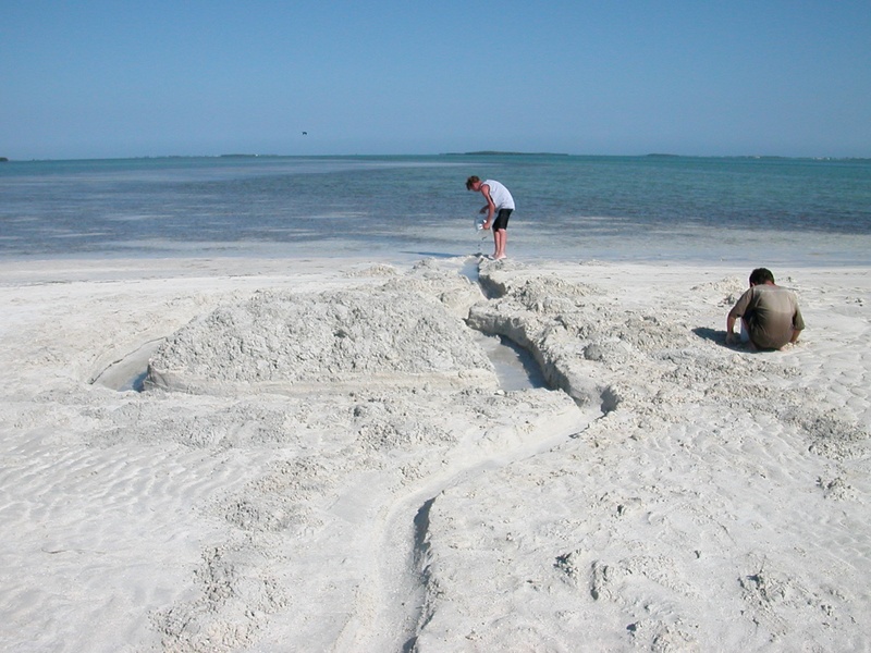 Fort Joe