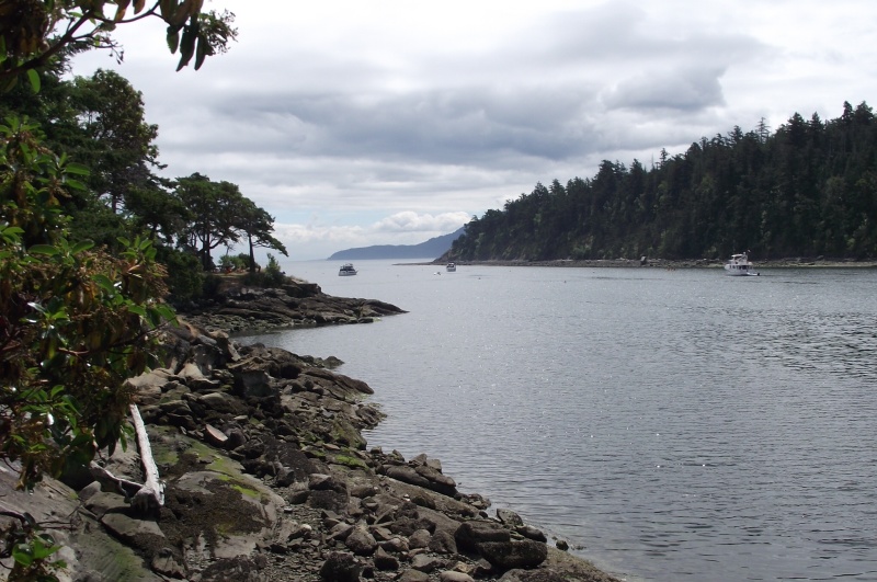 Fossil Bay, Sucia Island, San Juans