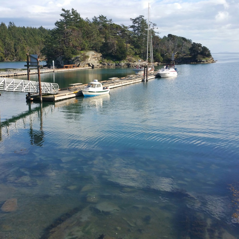 Fossil bay Sucia island