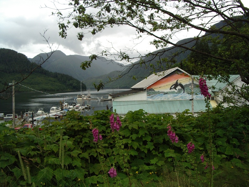 Foxgloves and mural, Ocean Falls