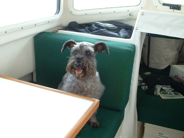 (FreighterGazer) 2nd Mate Scruffy.  The real "Salty Dog".