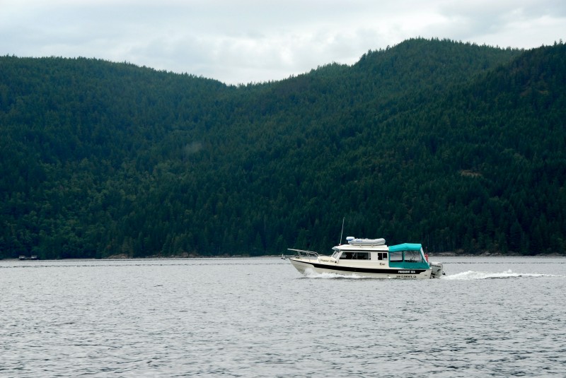 Frequent Sea leaving Princess Louisa Inlet