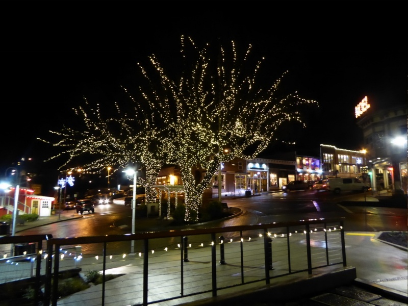 Friday Harbor Christmas Lights