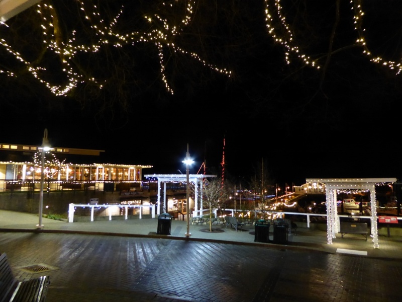 Friday Harbor Christmas Lights