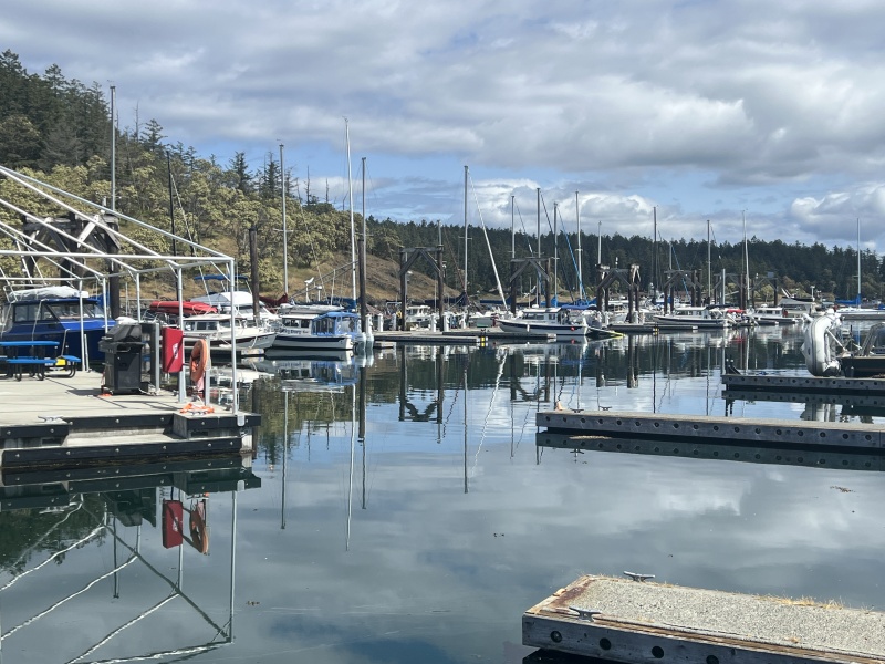 Friday Harbor dock H day before official start of gathering.