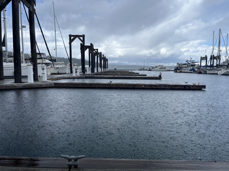 Friday Harbor guest docks.  EMPTY.