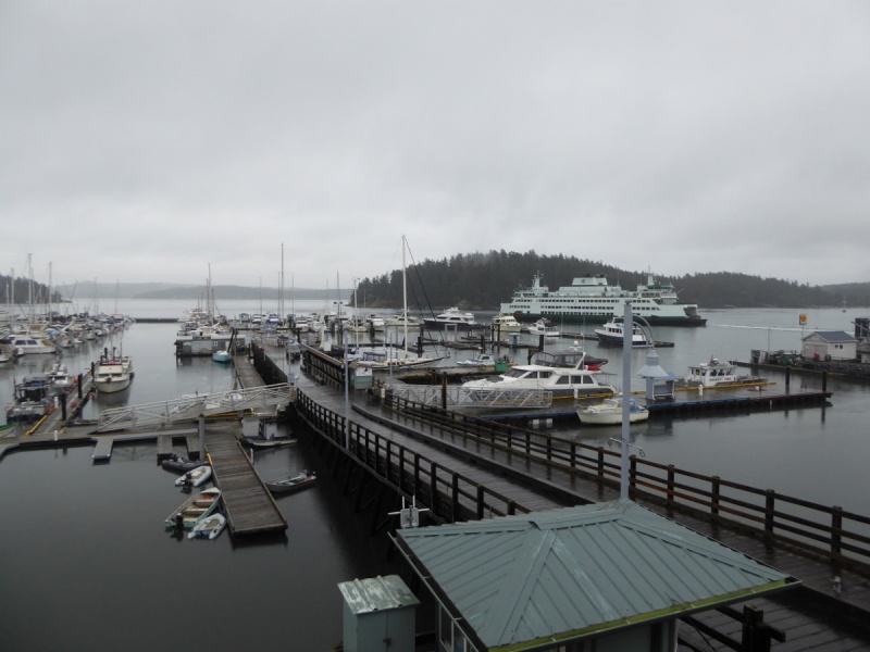 Friday Harbor in December