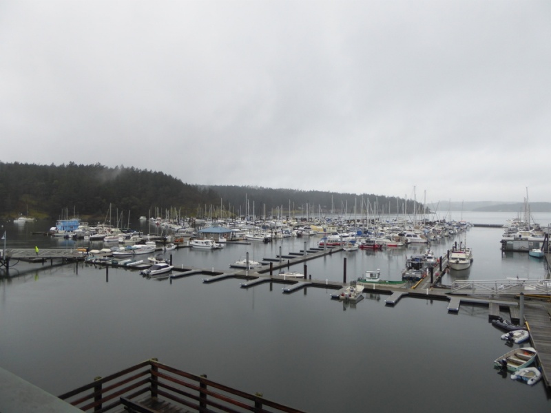 Friday Harbor in December