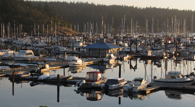 Friday Harbor Marina in Early Morning Light