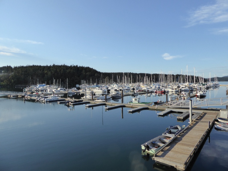 Friday Harbor May 20th