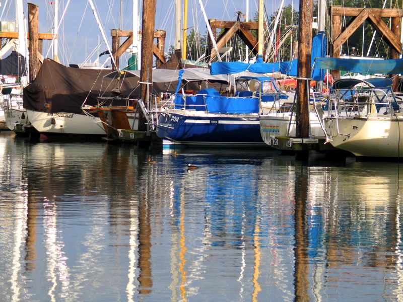 Friday Harbor Natives