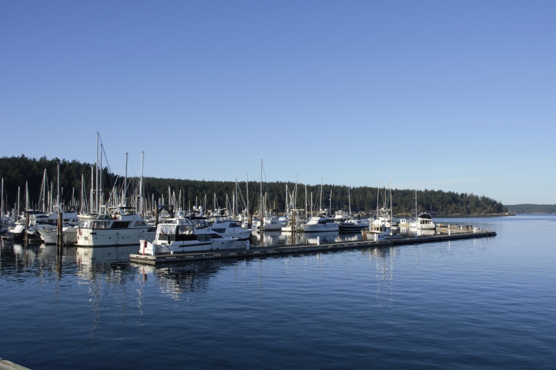Friday Harbor on Sunday Evening, March 11th