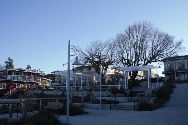 Friday Harbor on Sunday Evening, March 11th