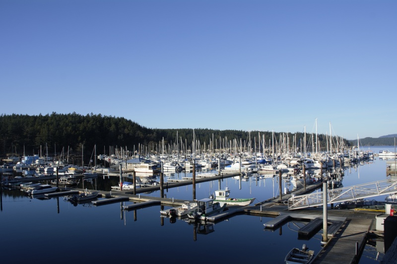 Friday Harbor on Sunday Evening, March 11th