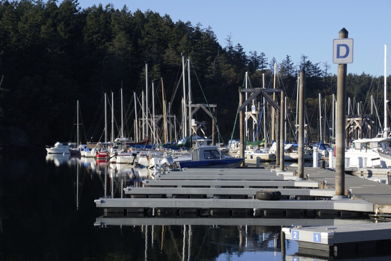 Friday Harbor on Sunday Evening, March 11th