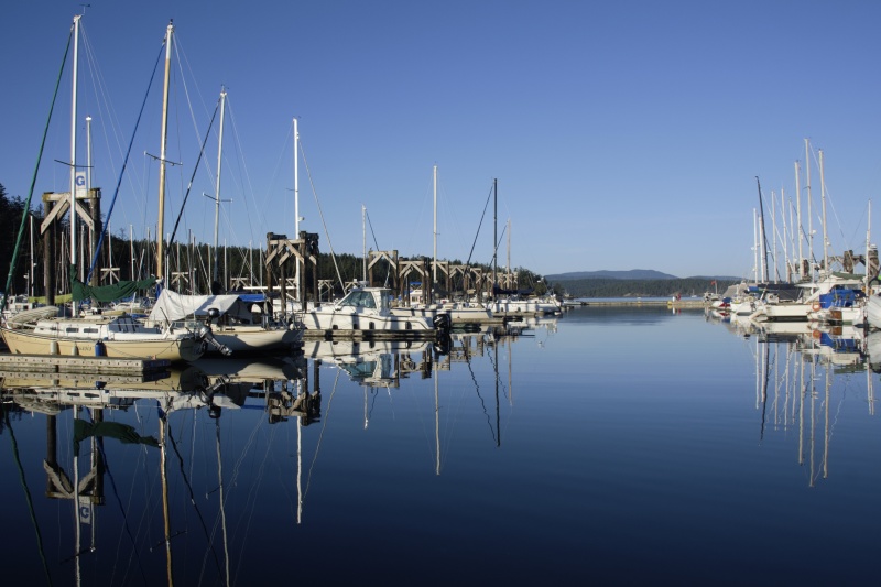 Friday Harbor on Sunday Evening, March 11th