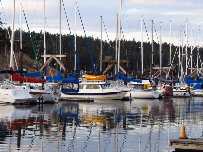 Friday harbor on the return