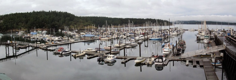 Friday Harbor panorama