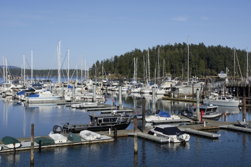 Friday harbor Sunday evening