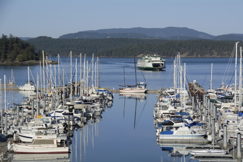 Friday harbor Sunday evening