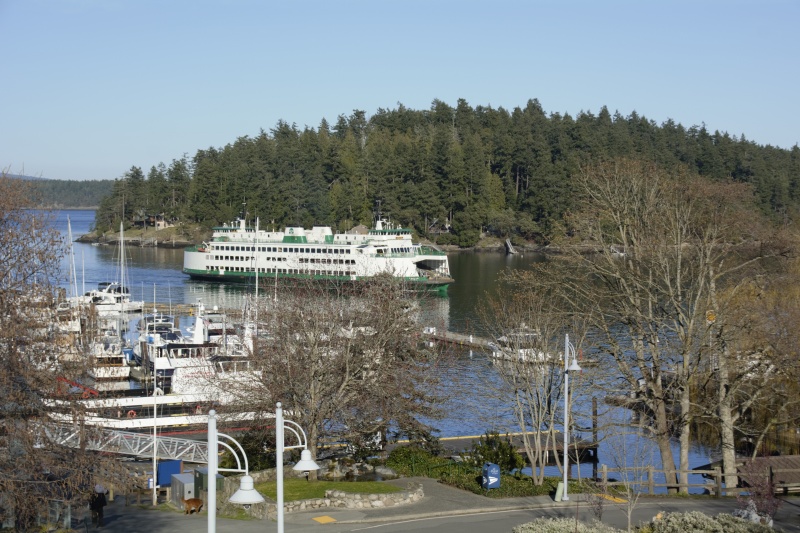 Friday harbor Sunday evening