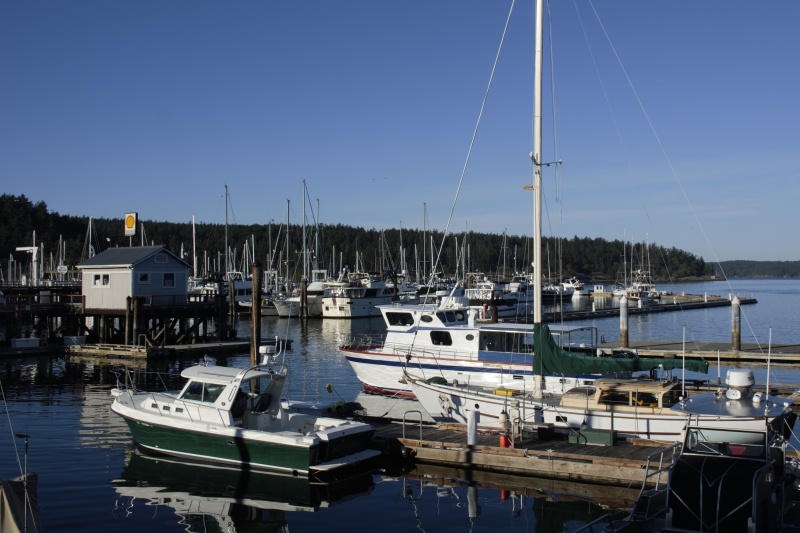 Friday harbor Sunday evening