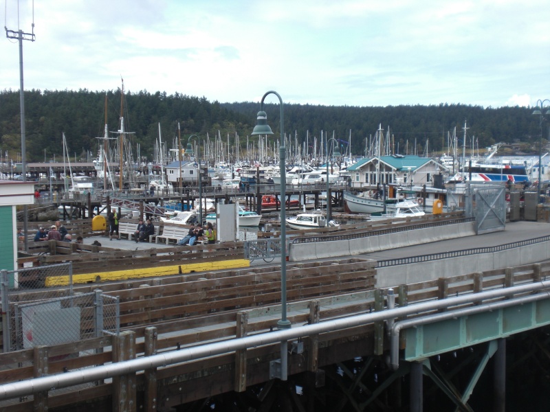 Friday Harbor.