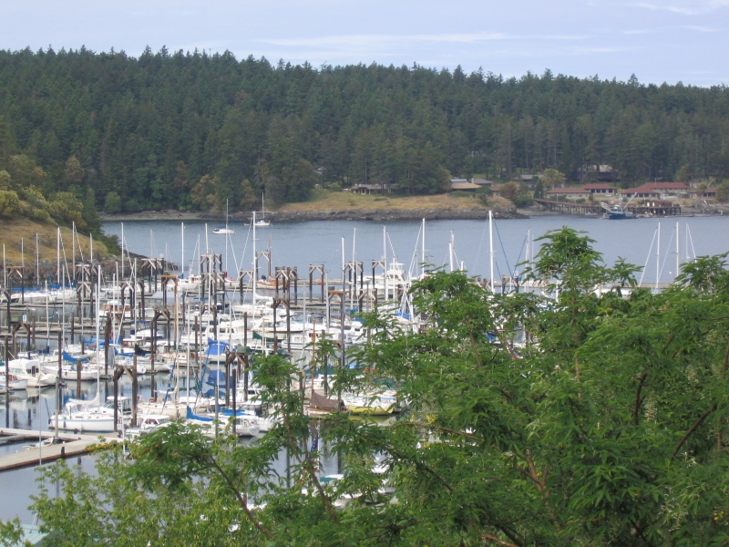 Friday Harbor