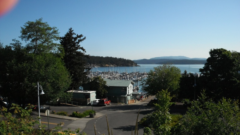 Friday Harbor