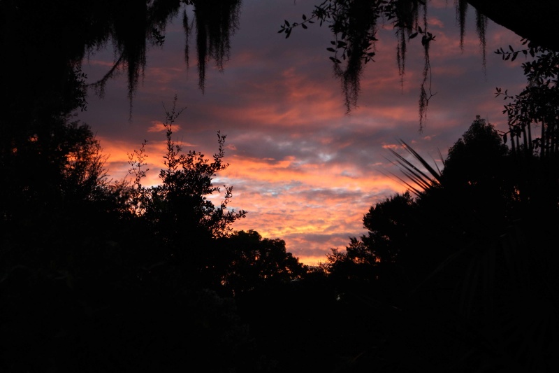 Friday Sunset