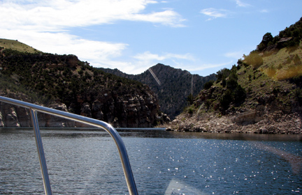 From the bow