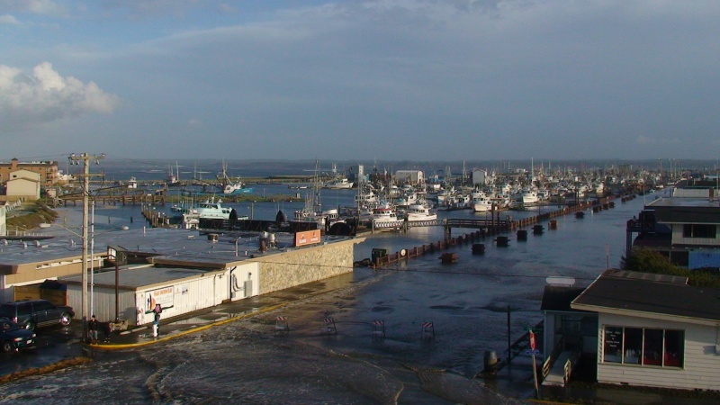 From the observation tower looking back to the harbor