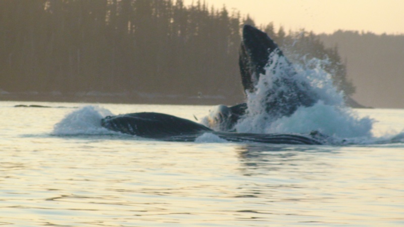 From the raft!