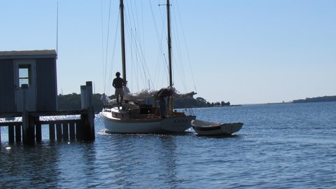 fuel dock at Coecles Harbor only sells diesel