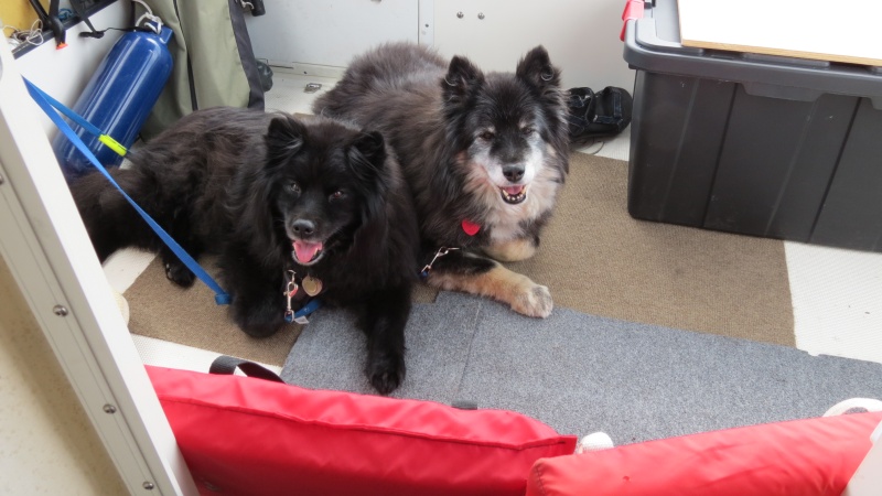 Gabby and Tippy