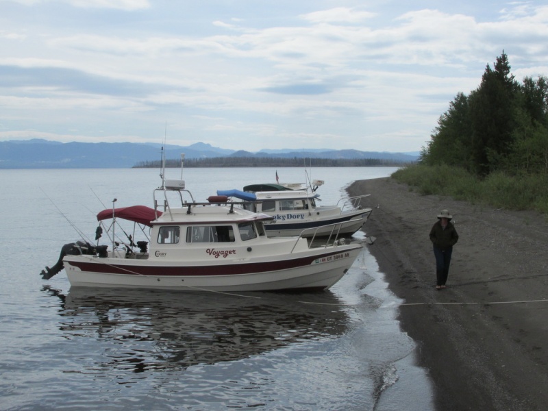 Gathering on Dot Island