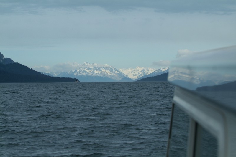 GLACIER BAY.jpg