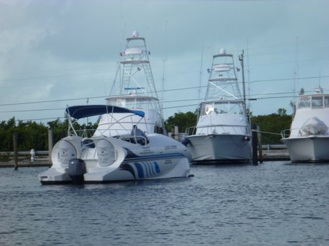 Glass Bottom Boat