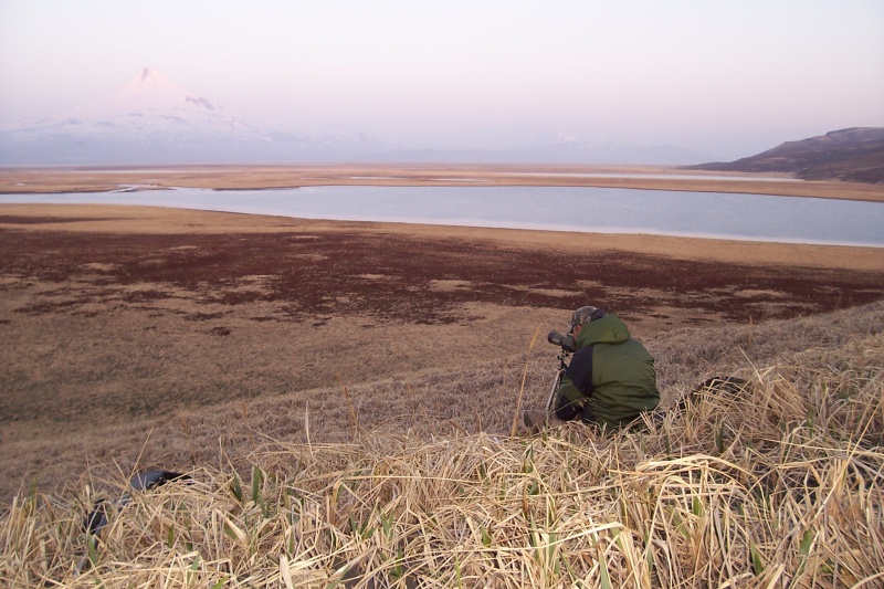 Glassing with Mount Shishaldin in the back ground.