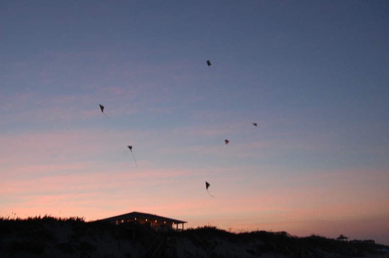 Go Fly a Kite