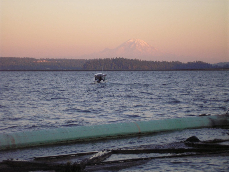 Going to scout for Sockeye in S. Lake Washington