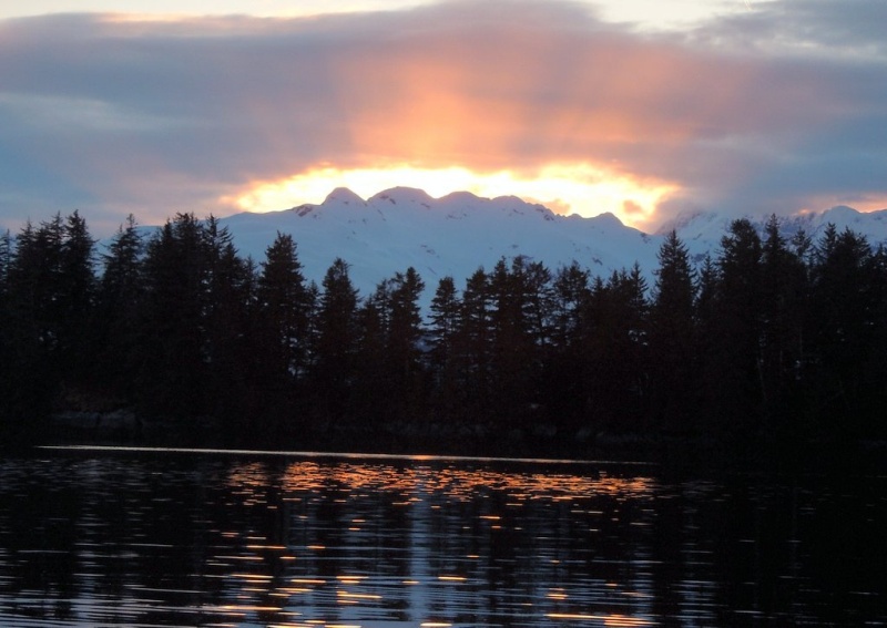 Golden Prince Willaim Sound