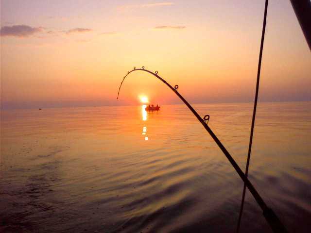 Good Night