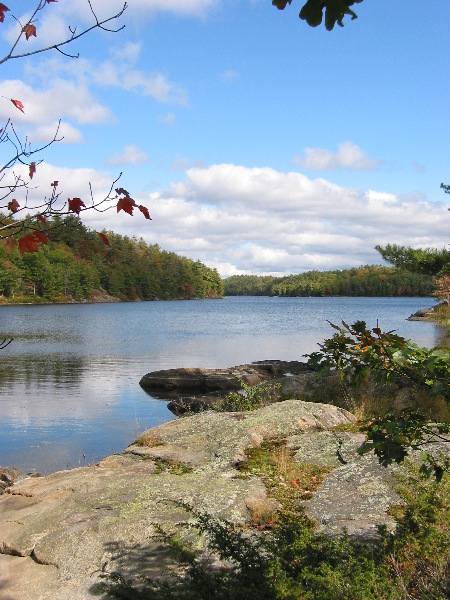 Gorgeous scenery abounds
