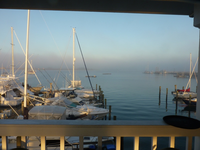 Got to leave Town Creek Marina, a couple last loosks