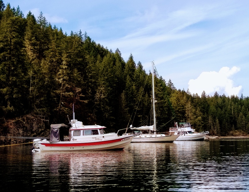 Grace Harbour, Desolation Sound Aug 2019