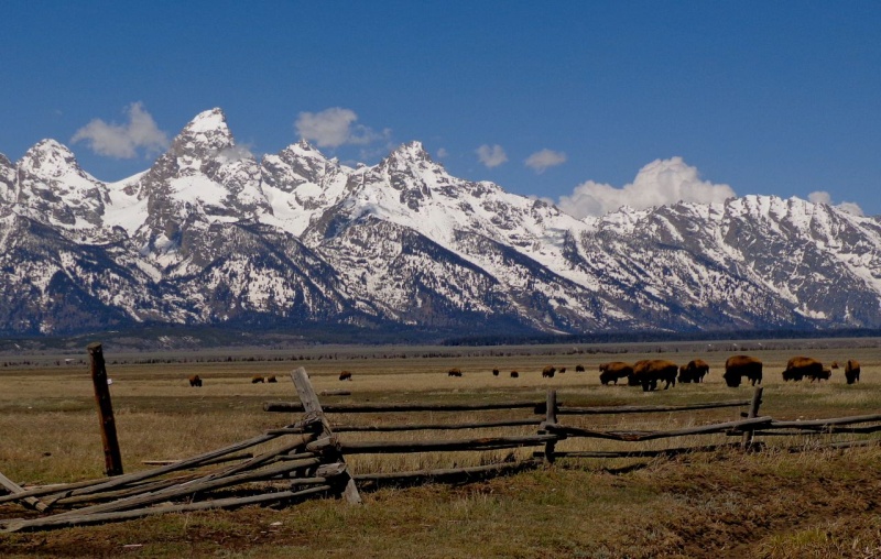 Grand Tetons