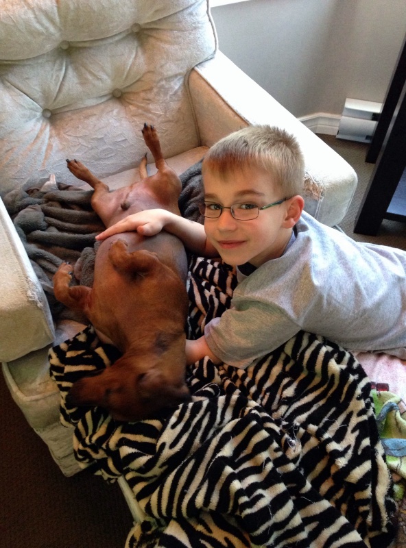 Grandkids.   Ryder and Brutus